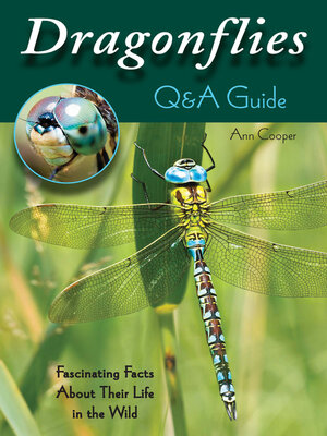 cover image of Dragonflies